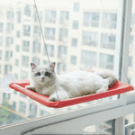 Cat window hammock perch with suction cups, red cushion, white cat lying down