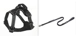 PawJoy No-Pull Dog Harness | Breathable & Reflective Comfort Vest for Active Pets