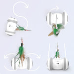 Interactive cat toy robot with multiple feather wand attachments