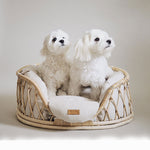 Round rattan pet bed with white cushion and two small dogs resting inside