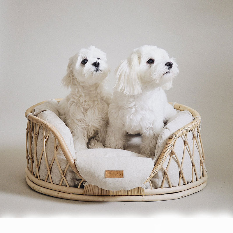 Round rattan pet bed with white cushion and two small dogs resting inside