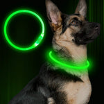 Flashing LED pet collar with bright green light ring near dog’s collar area