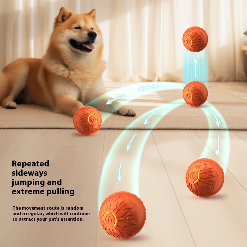 Image alt