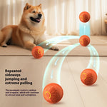 Jumping Joy Electric Dog Ball - Automatic Teasing & Luminous Fun for Active Pets