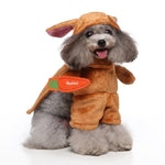 European-Style Dog & Pet Clothing – Fashion Pet Outfit