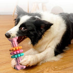 Dog chewing bone-shaped TPR toy with raised nubs in pink, orange, teal, and purple