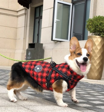 Hooded Winter Dog Coat for Chihuahua, Pug & Small Dogs