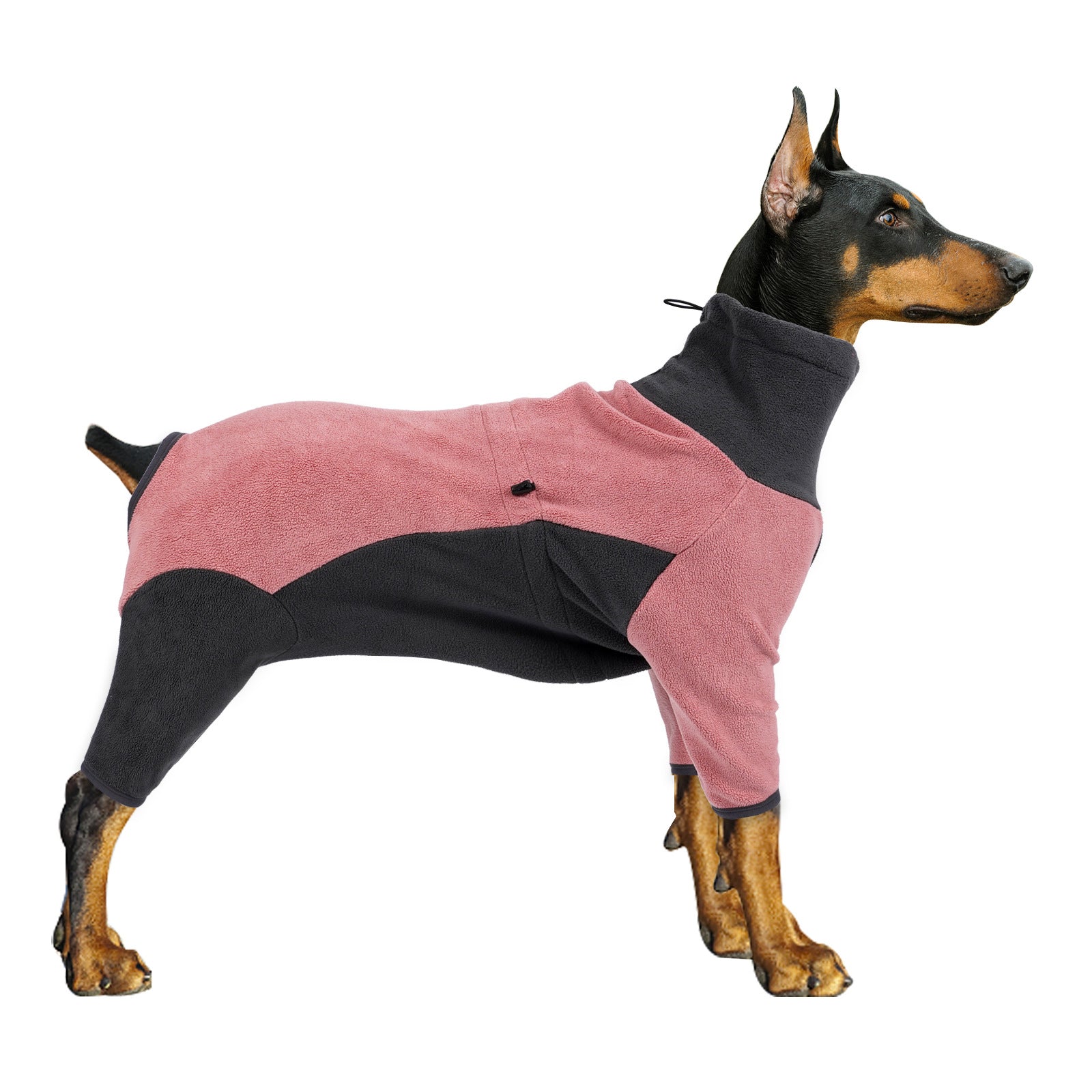 Cold-Proof Winter Dog Coat – Warm Pet Clothes