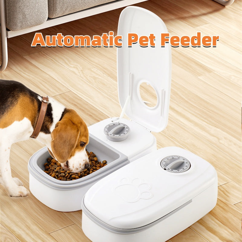 Alimentador automático inteligente para mascotas Dispensador de comida para gatos y perros Temporizador Cuenco de acero inoxidable Alimentación automática para perros y gatos Suministros para mascotas