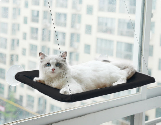 Cat window hammock perch with suction cups, dark cushion, white cat lying down