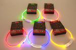 Set of USB rechargeable flashing LED pet collars in multicolor rings