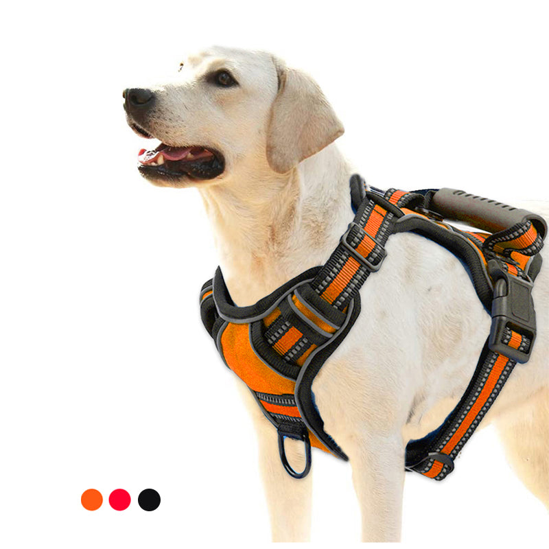 Arnés antitirones PawJoy para perros | Chaleco cómodo, transpirable y reflectante para mascotas activas
