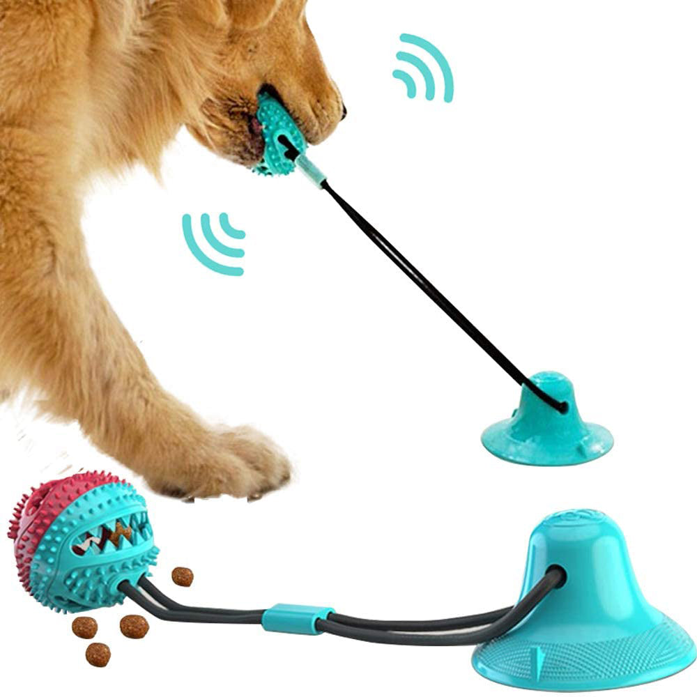Teal suction cup dog ball tug toy with spiky chew ball on black cord