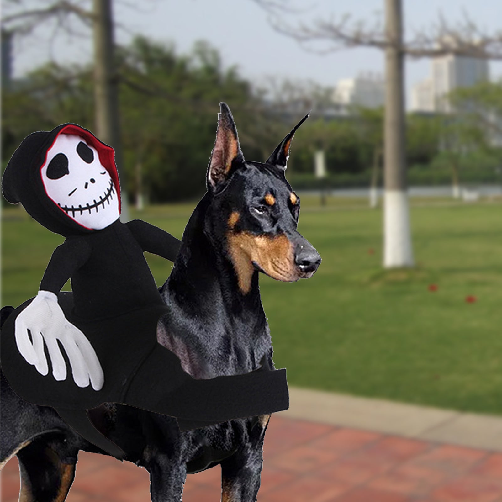 Funny Halloween Dog Costume – Spider Pumpkin Pet Vest