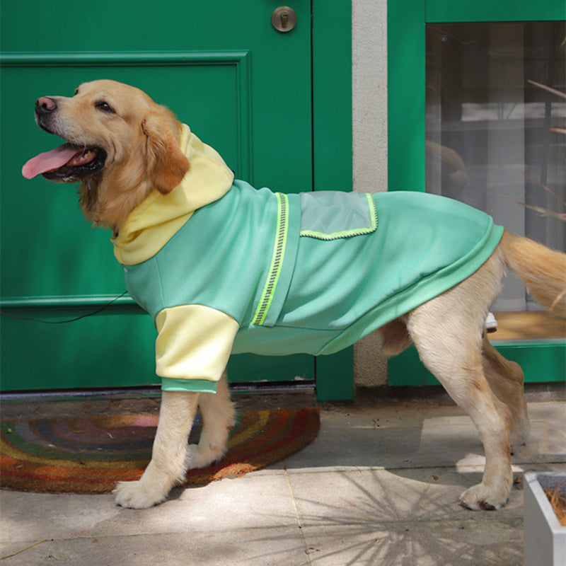 Jersey grande para perro – Ropa y accesorios abrigadores para mascotas