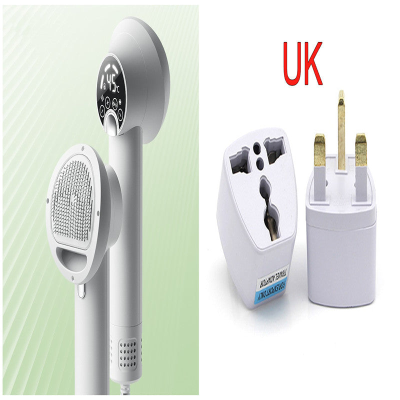Pet hair dryer with brush head and digital controls, plus multi-plug adapter set