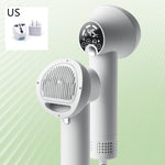 Pet hair dryer with brush head and digital temperature display, with plug adapter kit
