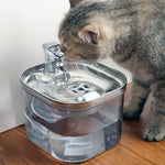 Pet drinking from stainless automatic water fountain with transparent pump
